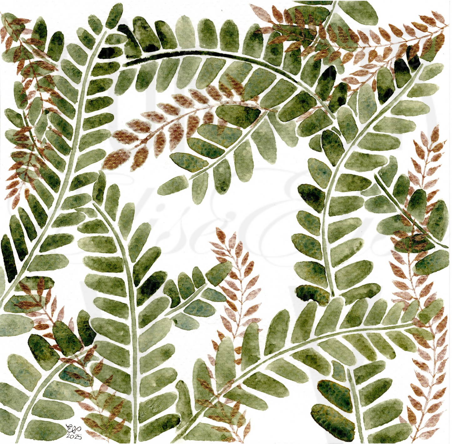 GREEN & GOLD FERNS