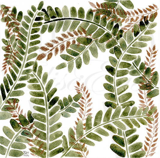 GREEN & GOLD FERNS