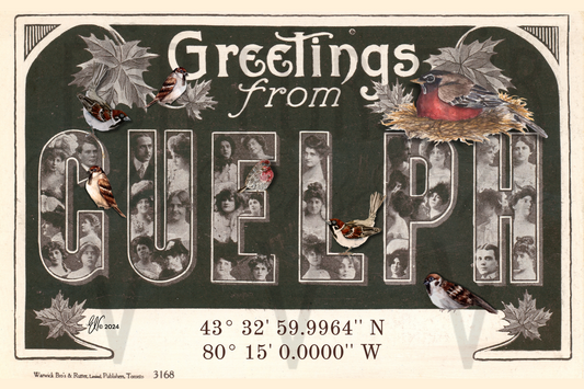 “GREETINGS FROM GUELPH”~ POSTCARD