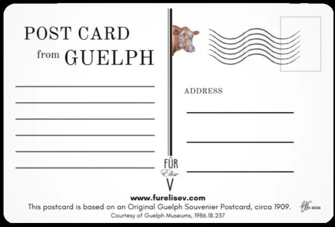 GOW’S COWS ~ GUELPH POSTCARD (or FINE ART PRINT!)