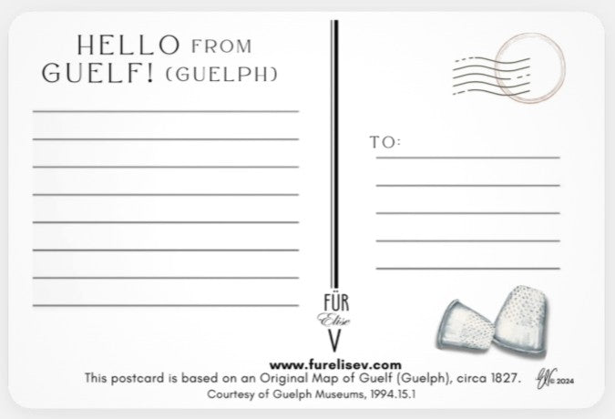 "GUELF" HUMMINGBIRD ~ POSTCARD (or FINE ART PRINT!)