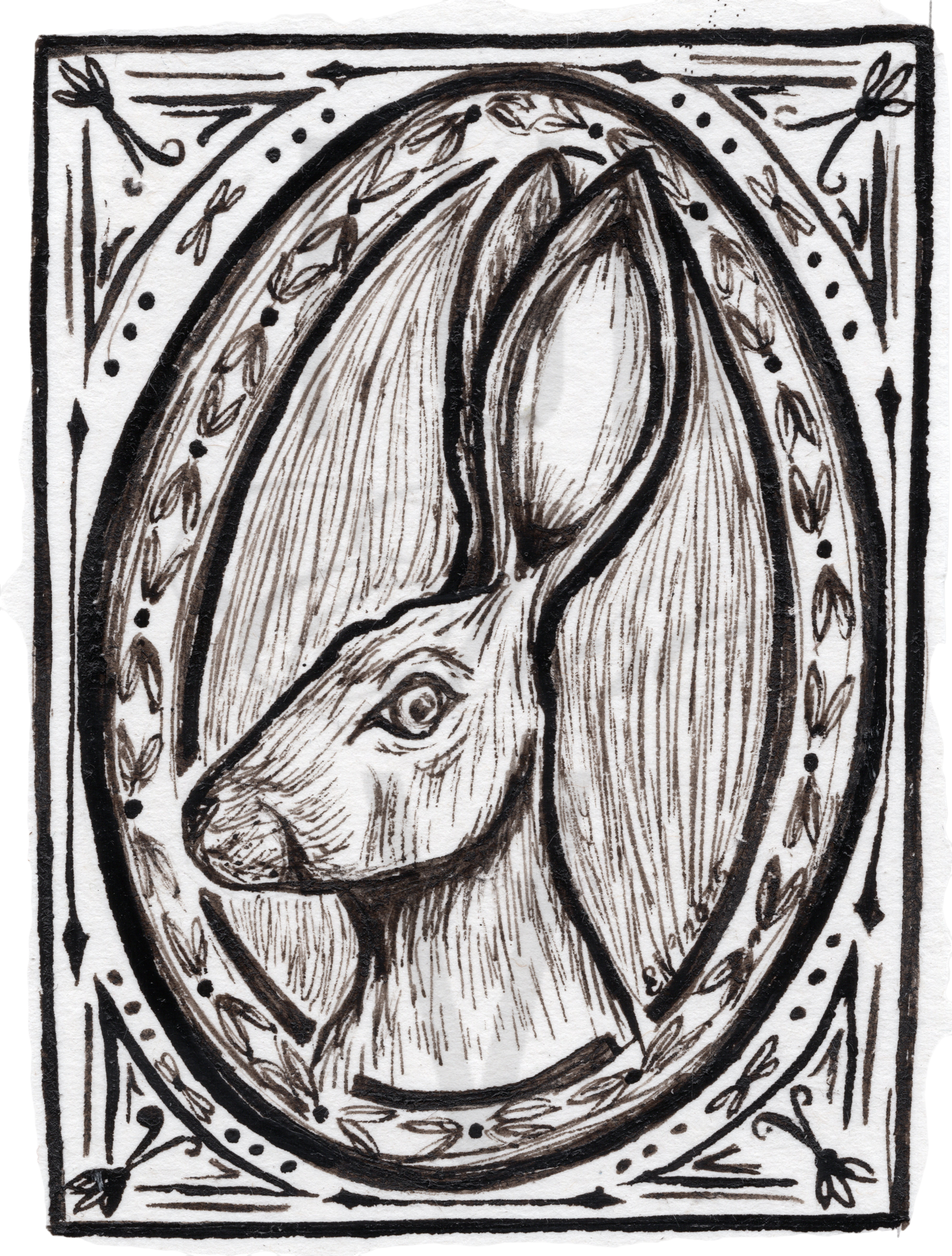 HARE PROFILE