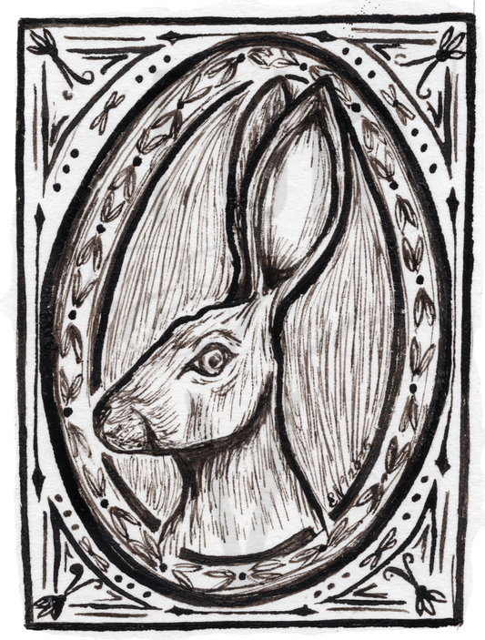 HARE PROFILE