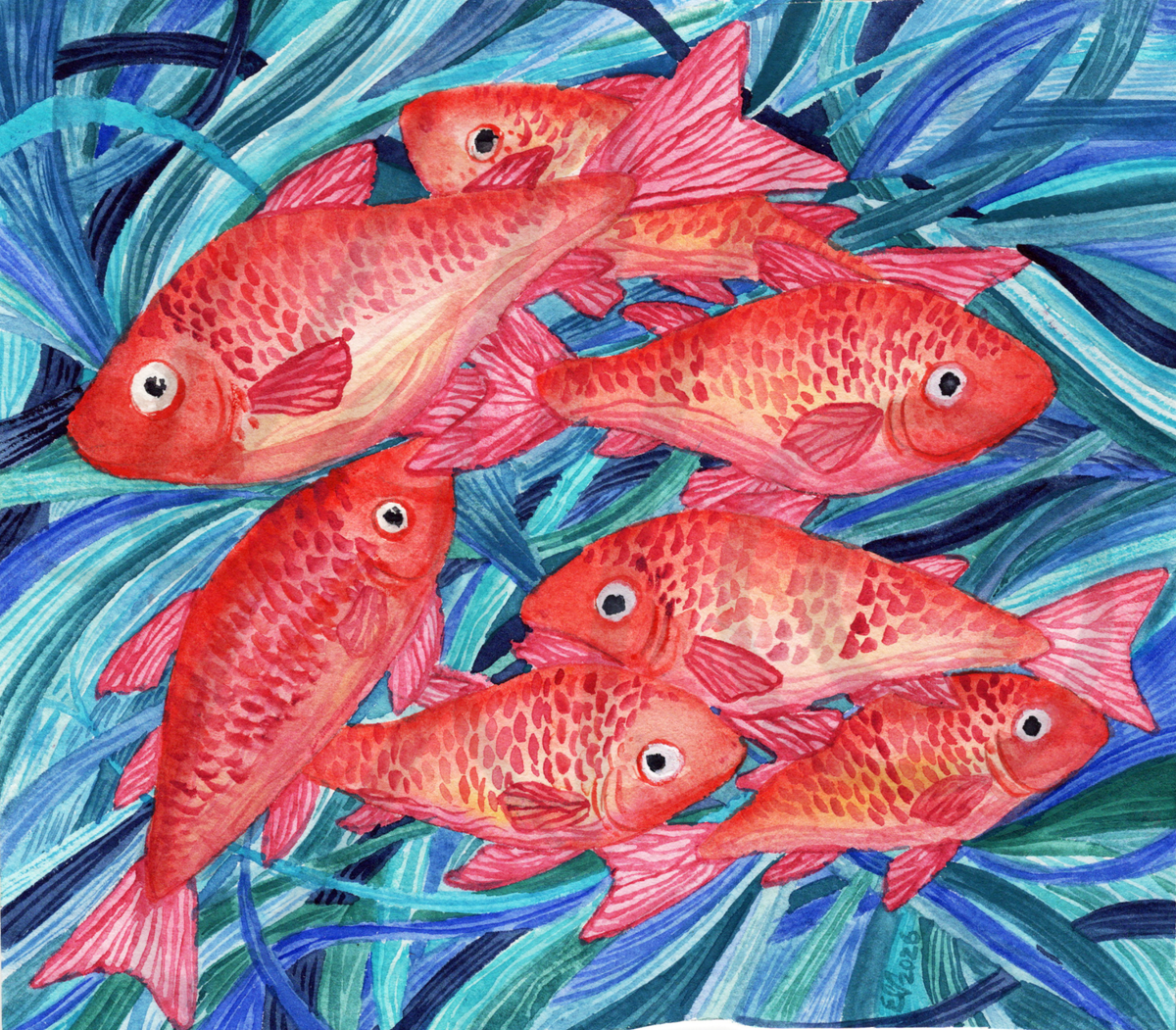 A JUMBLE OF FINS