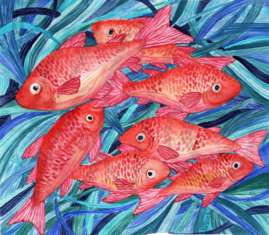 A JUMBLE OF FINS