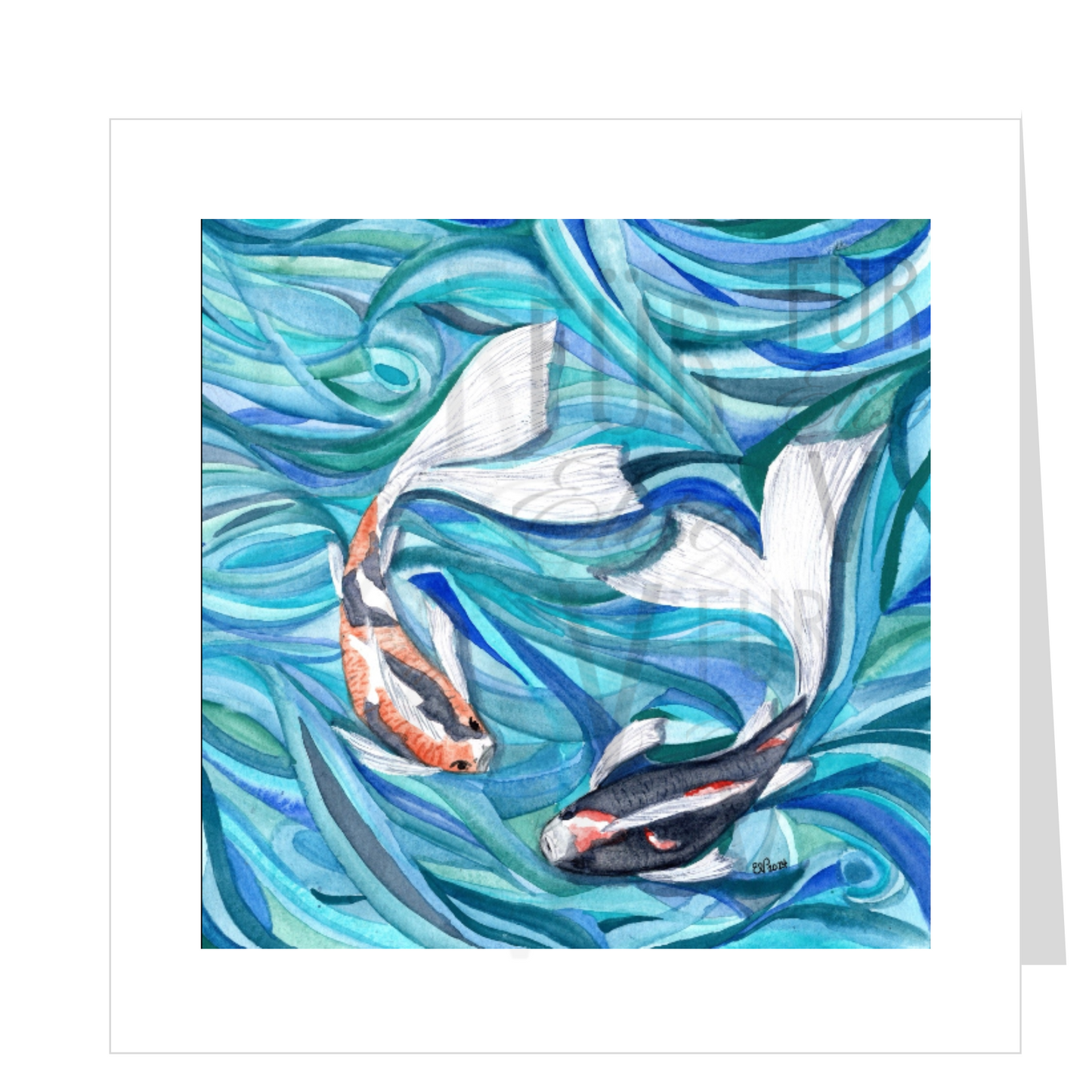 KOI RIBBONS