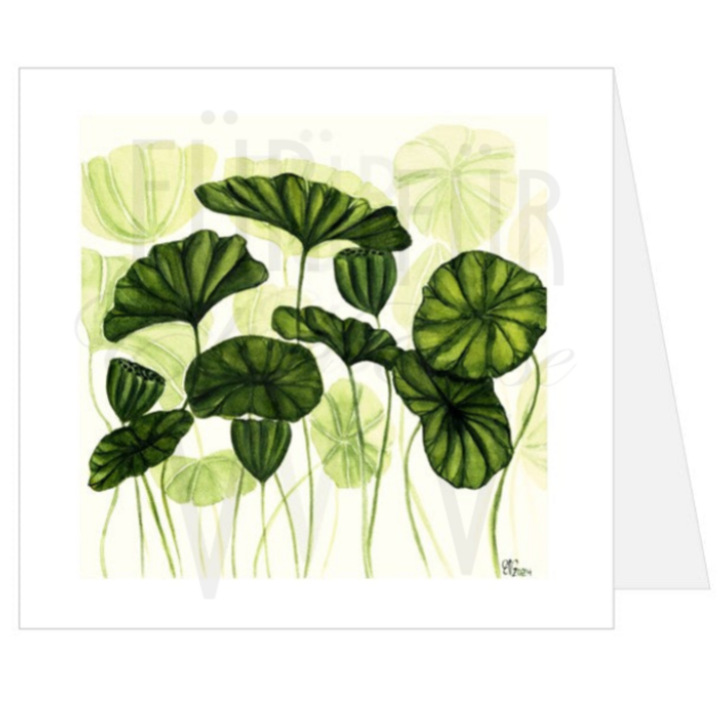 LOTUS LEAVES