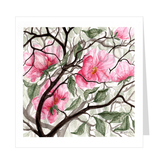 MAGNOLIA TREE