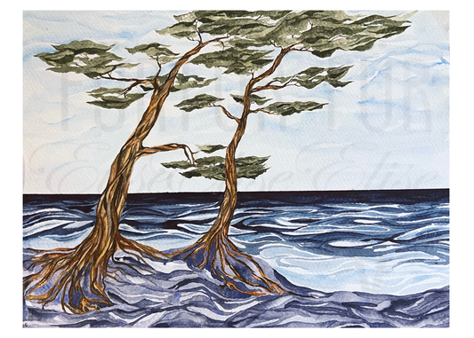 NORTHERN LANDSCAPE