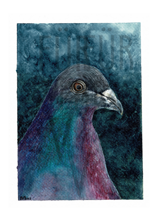 PORTRAIT OF A PIGEON