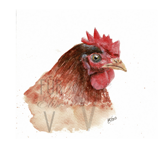 PORTRAIT OF A CHICKEN
