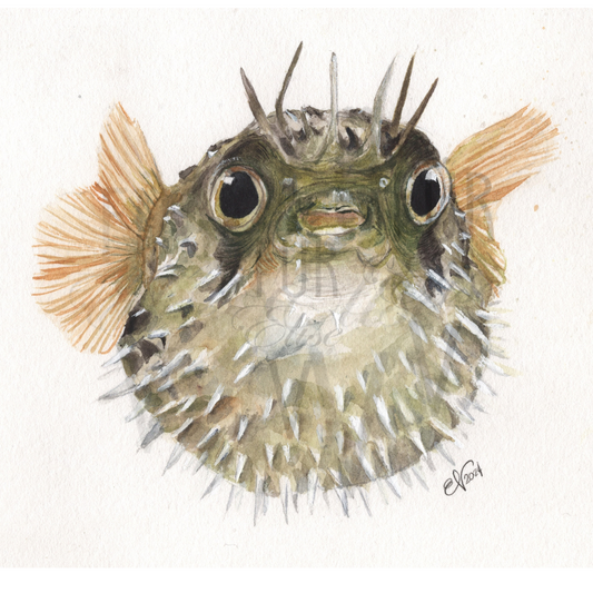 PUFFER FISH