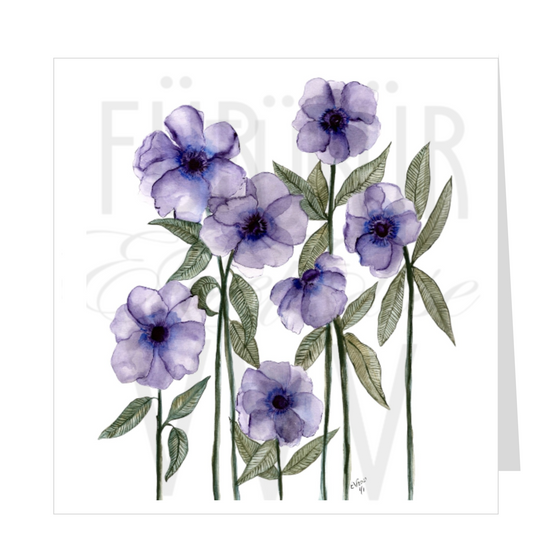 PURPLE ANENOMES