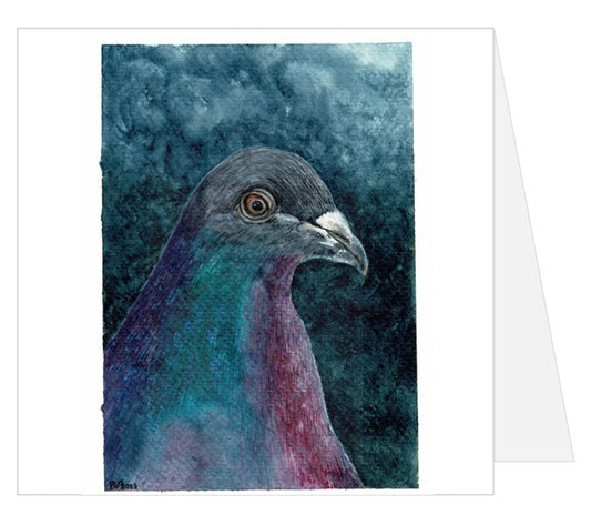 PORTRAIT OF A PIGEON