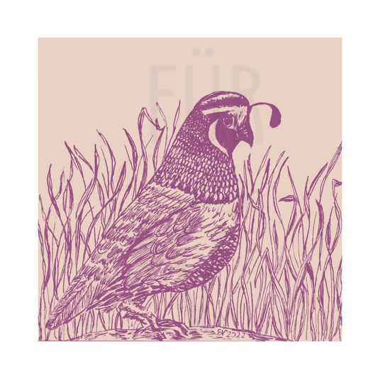QUAIL INK