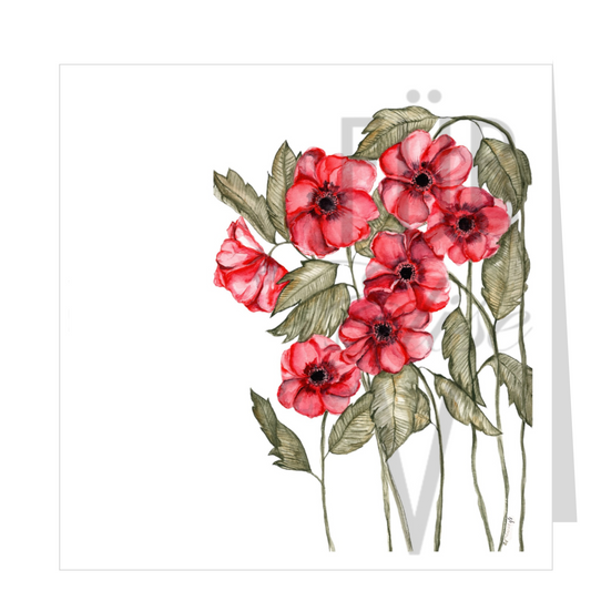 RED ANENOMES