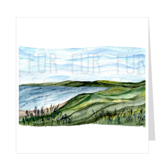 ROLLING LANDSCAPE