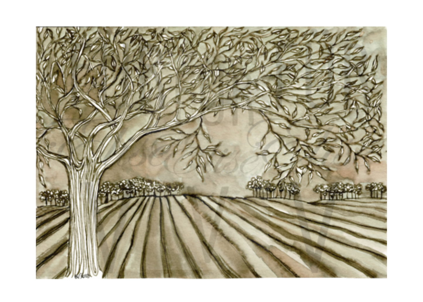 SEPIA FIELD IN INK