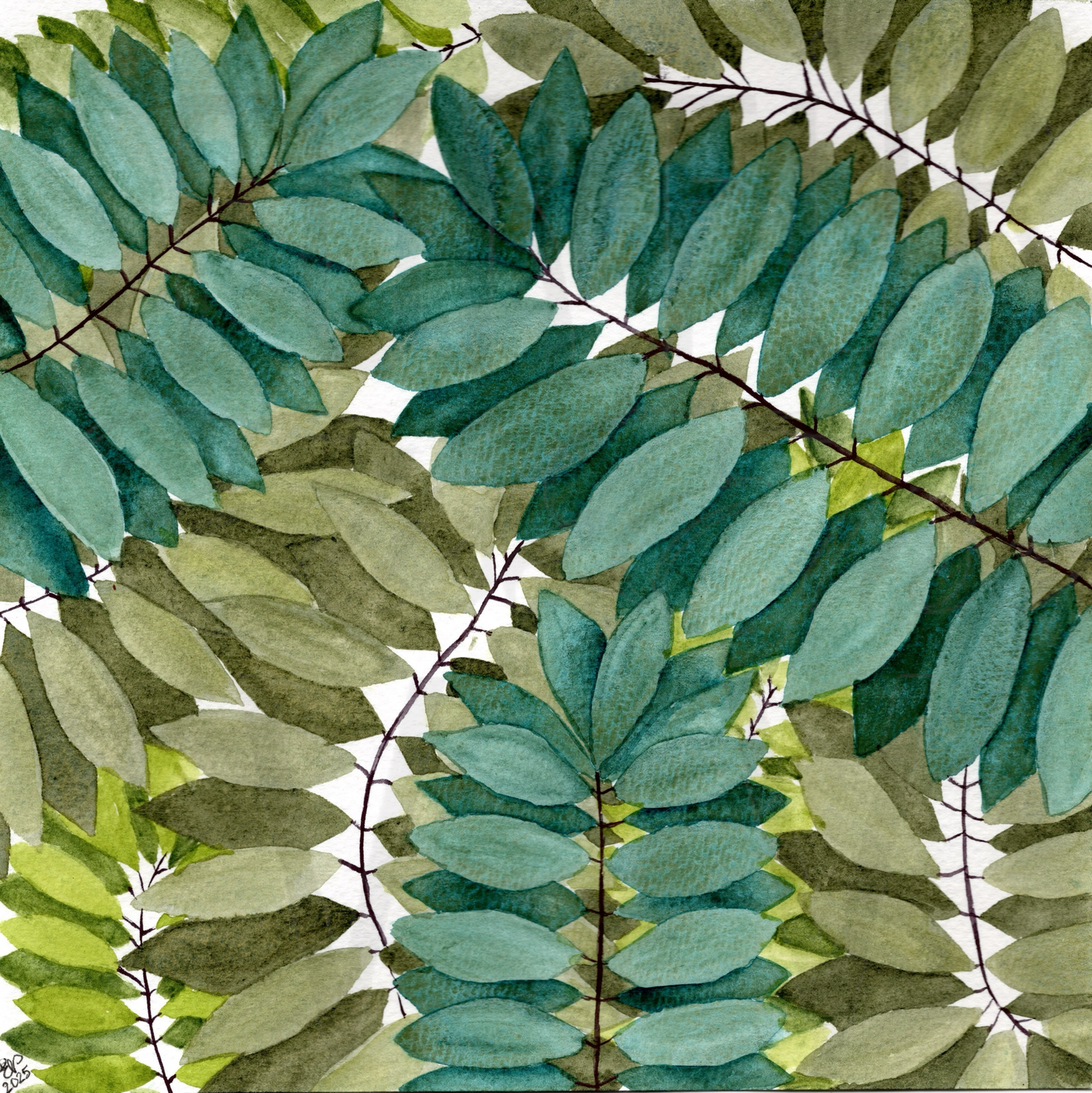 SHADES OF GREEN LEAVES