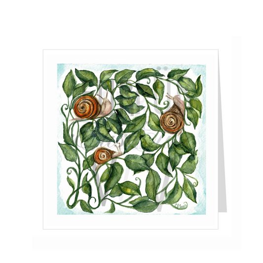 SNAIL TRIO