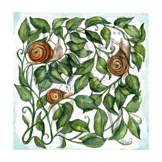 SNAIL TRIO