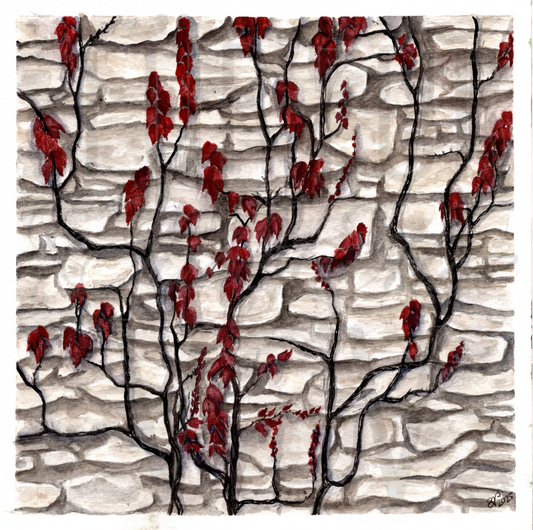 STONE WALL WITH VINES