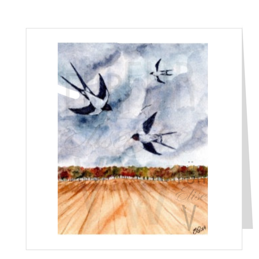 SWALLOWS AFTER HARVEST