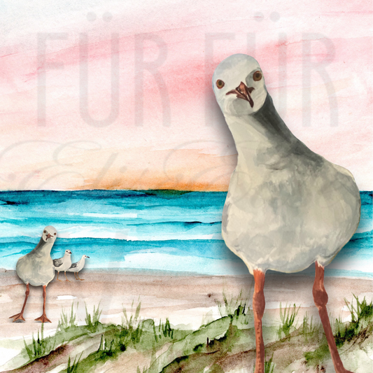SEAGULL BEACH