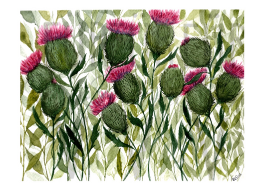 THISTLE FLORAL
