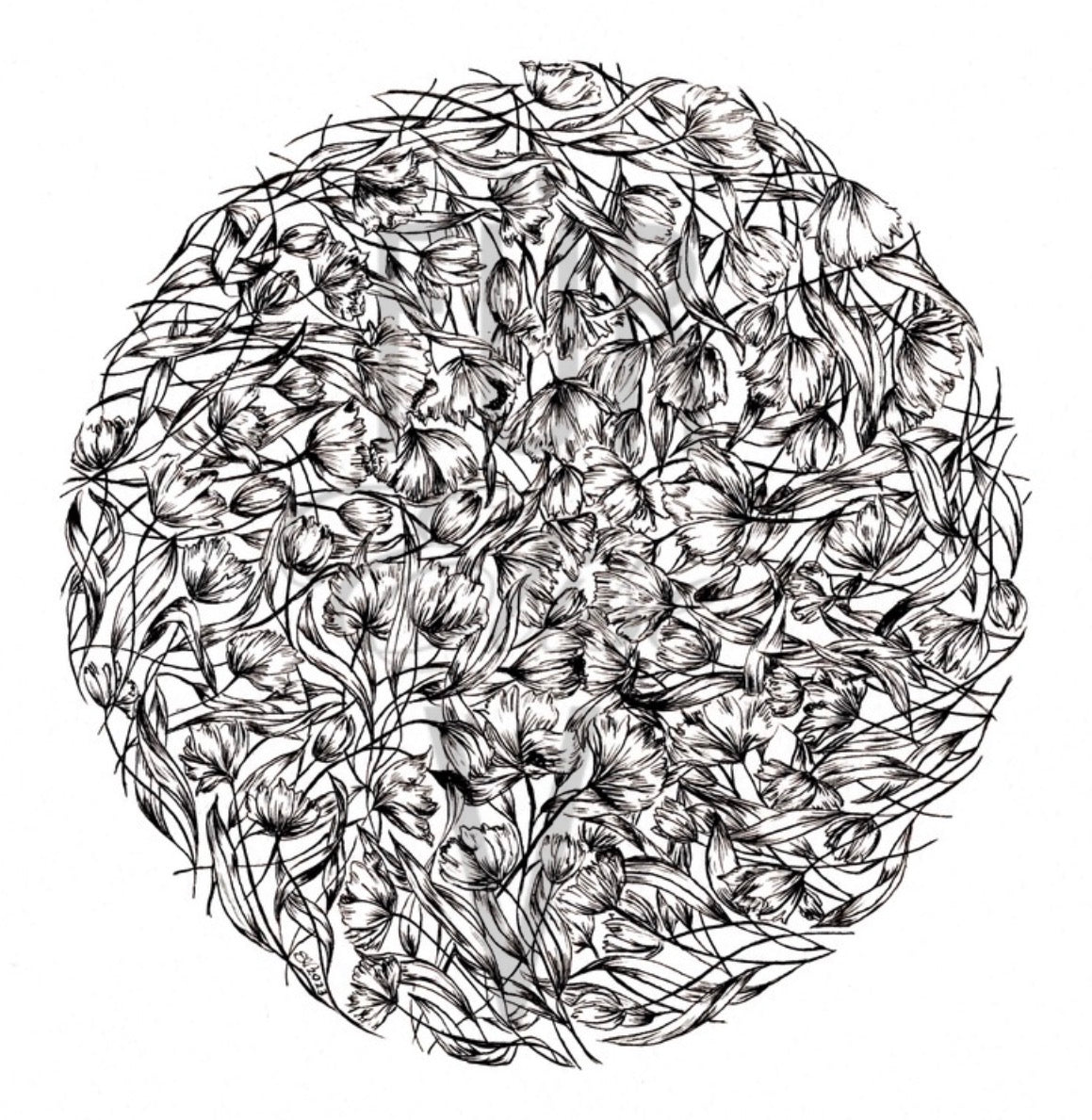 Black and white tulip floral  design on a white background. Für Elise V Elise van den Berg 