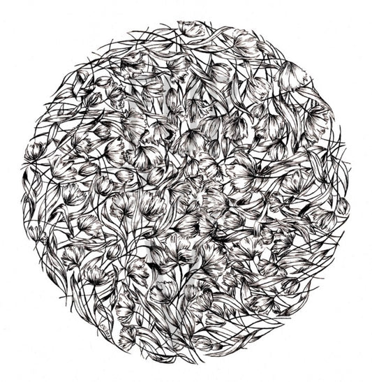 Black and white tulip floral  design on a white background. Für Elise V Elise van den Berg 