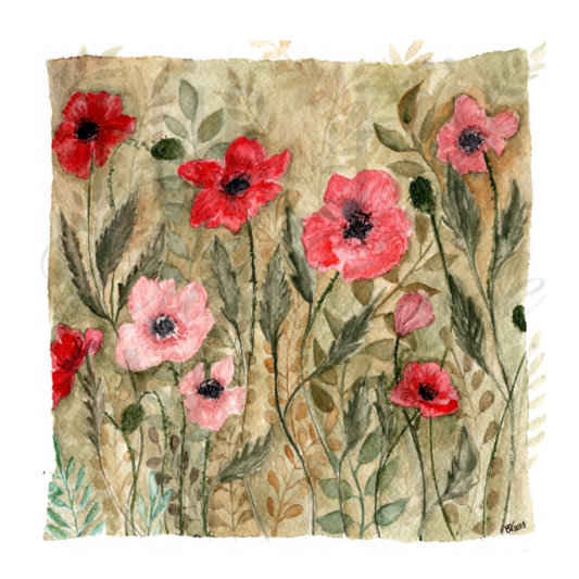 VINTAGE POPPIES