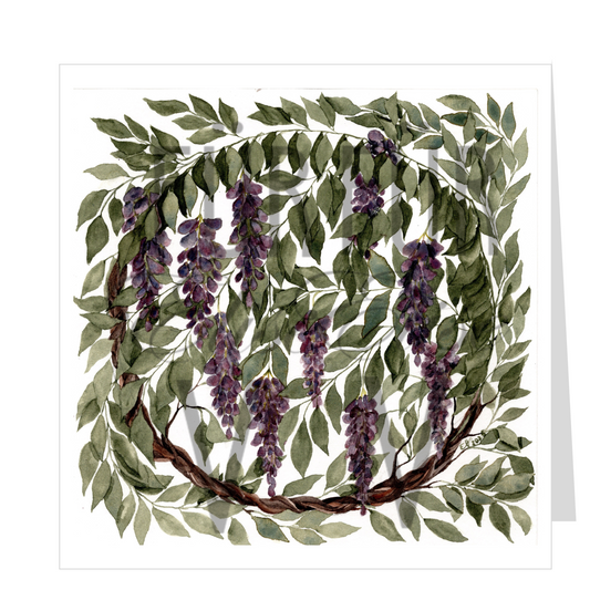 WISTERIA VINES