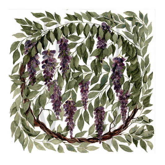 WISTERIA VINES