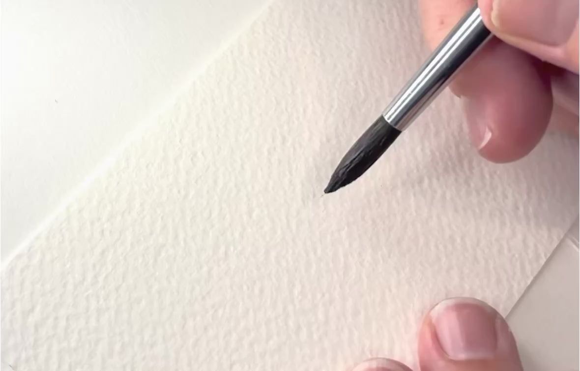 Load video: Elise van den Berg paints watercolour leaves